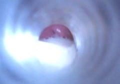 (via Pumping Into My Fleshlight | XTube Porn Video from ItllMakeYouShoot)