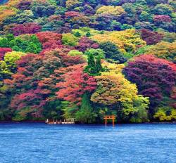 Multilayered beauty (Ashino Lake, Kaginawa, Japan)