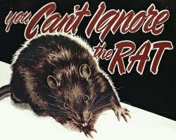 zadiest: danskjavlarna: “You can’t ignore the rat” (1948).