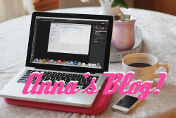 Anna's Blog - February 15th, 2015 - 4th Entry  I haven’t