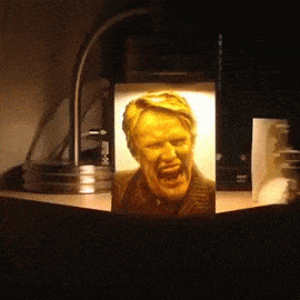 sixpenceee:  The above is a 3D lithophane of Gary Busey. This