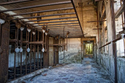 L'Île de la Folie, Venise, Italie Poveglia Island, Italie