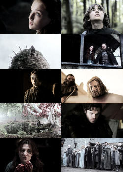 lordjsnows:  House Stark - “Winter is coming…”