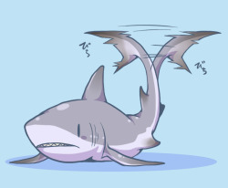rosscott:  bobrellakan:  Cute Shark! きんとら＠さめやろう