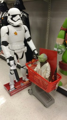 Remember when TK421 had to do the grocery shopping with Yoda?