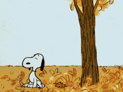 octoberxthirtyfirst:  Charlie Brown