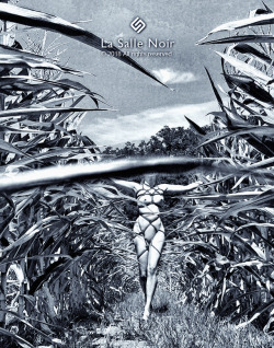 lasallenoir:  In The Corn Fields© by La Salle Noir, all rights