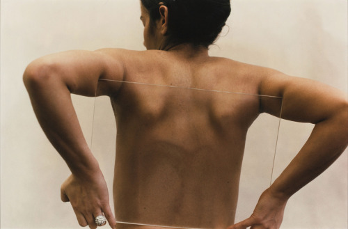 theartofobservationblr:ana mendieta “untitled (glass on body)”