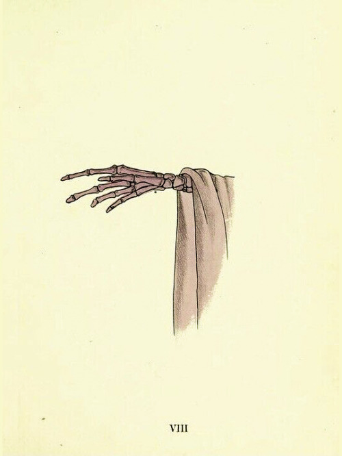 nevver:  Done to Death