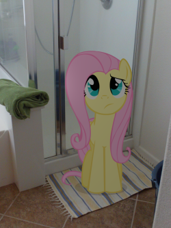 madame-fluttershy:  My Little Fluttershy: Get In The Shower by