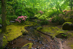 andantegrazioso:Japanese Garden, Portland |    	Jenn Sinclair