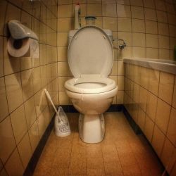 waterclosetwonders:  – Brush and flush -  on a Toilet Tuesday