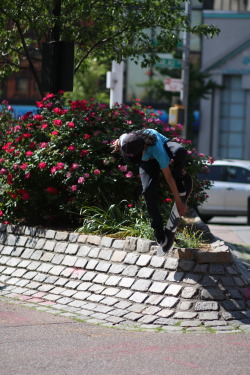 whiteboyinbrooklyn:  Nose Pick by Angel in China Town. 