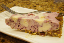 veganfeast:  Blueberry Tart on Flickr. yum 