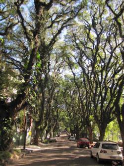 brazilwonders:  Rua Gonçalo de Carvalho - Porto Alegre, Rio