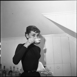 ladyaudreys:Audrey