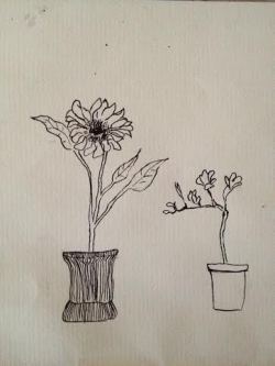 vizio-assurdo:  drawing of flowers + my ribs 