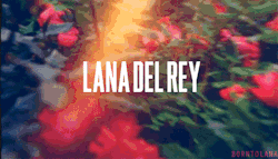 diamondsanddelrey:  Lana Del Rey and Marina and The Diamonds