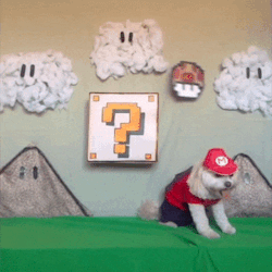 nintendroid:  If nothing else makes you smile today, this will. via