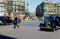 alannahmoore16:  1950s: Colour photographs of Piccadilly Circus