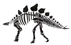 furrylittlepeach:  Stegosaurus by Furry Little PeachCome find