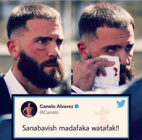 🤣😂🤣😂🤣😂🤣😂🤣😂🤣😂 #canelo #teamcanelo