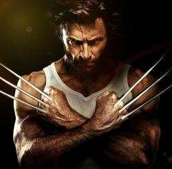 gammawings:  Wait,so CM Punk and wolverine aren’t the same
