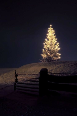 tx-gentleman:    - TX|G  