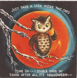 thegroovyarchives:  Vintage Cute Owl Halloween Card via Chris