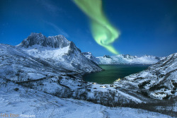 drxgonfly: Whirling Lights (by  Felix Röser)