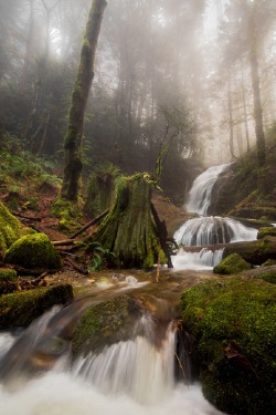 sublim-ature:  Coal Creek Falls, WashingtonAddam Soule 