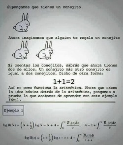 Esto es lo que pasa cuando usas conejitos de ejemplo para matematicas