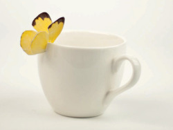 blua:  Butterfly Tea  by Yena Lee 