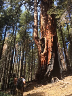 lasplayaslasmontanas:  So tell me, how many fires have you fought…