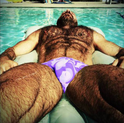 hairyhunky:   http://povcock.tumblr.com/ -Face and Cock Shots