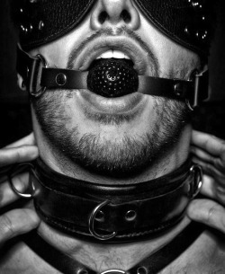 black and bound