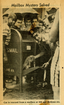 hspdigitallibrary: Cat rescued from mailbox clipping, 1961  “The