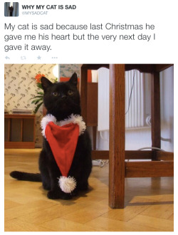 catsbeaversandducks:  By ©WHY MY CAT IS SAD - Twitter | Facebook 