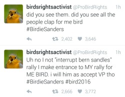 bombtraq:  the Birdie Sanders thing is the best thing to happen