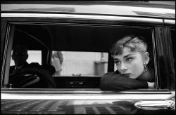 cinemarhplus:  Audrey Hepburn, Sabrina 