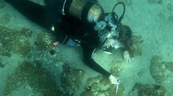 sixpenceee:  Massive Bronze-Age City Discovered Underwater in