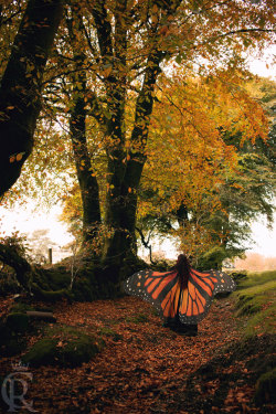 culturenlifestyle:Stunning Conceptual Scarves Emulate Butterfly