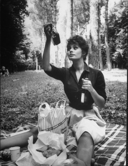 11-15-11:Sophia Loren photographed by Alfred Eisenstaedt, Italy