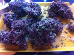 Purp