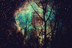 thenoblefrenchfry:  Wonders of the universe