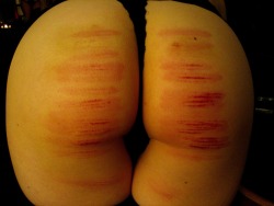 holly-gonightly:  The Caning Diaries: Day 29 30 Thoughts: These