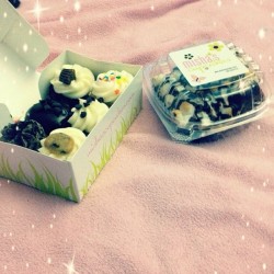 #cupcakes #cute #delicious