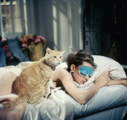 audreyhepburnforever:  Audrey as Holly Golightly with Cat in