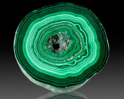 fuckyeahmineralogy:  Malachite stalactite slice; Congo Mine,