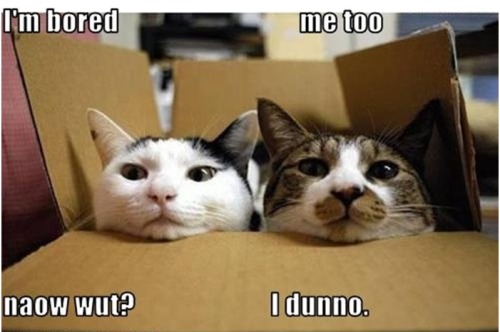Let’s go find another box